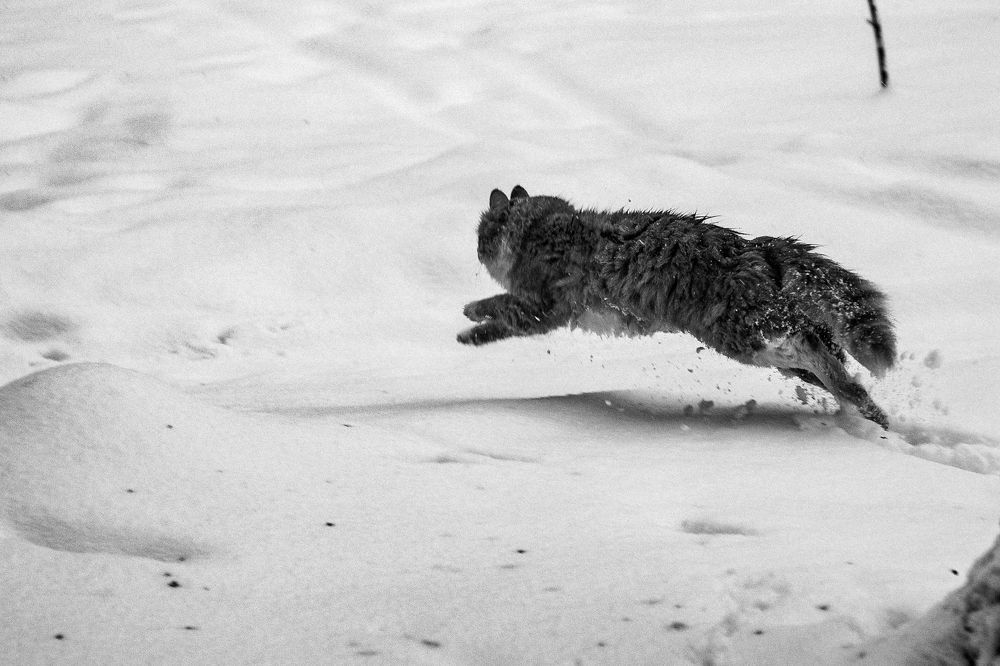 Фотография автора Ольга