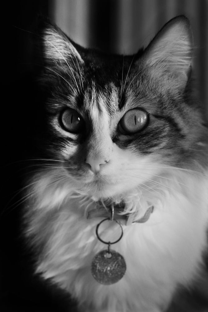 Photograph by Mariana Guazzelli