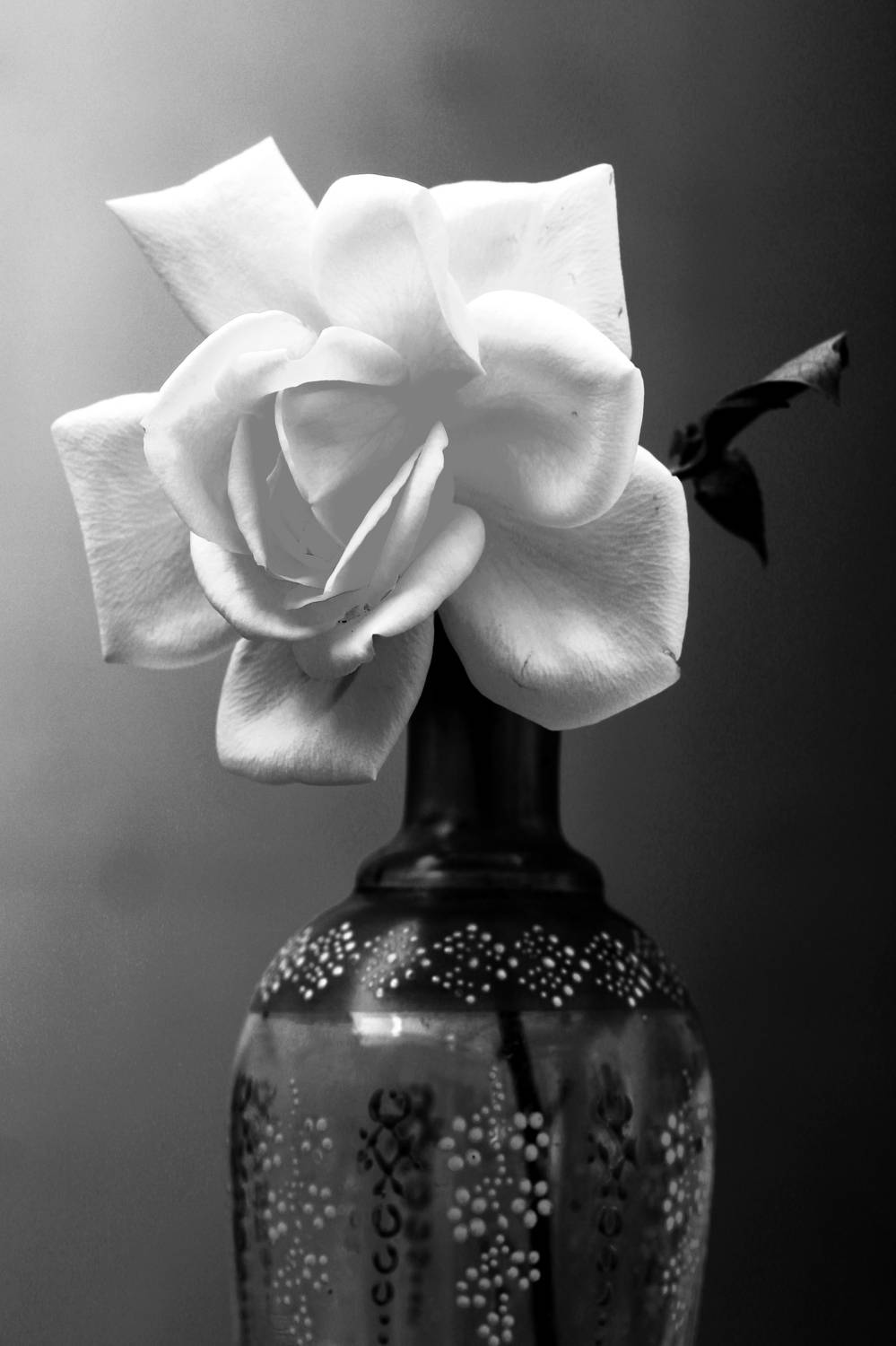 Photo #8688946