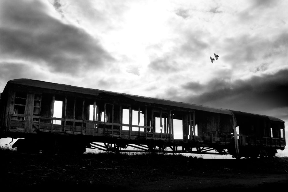 Photograph by Mariana Guazzelli