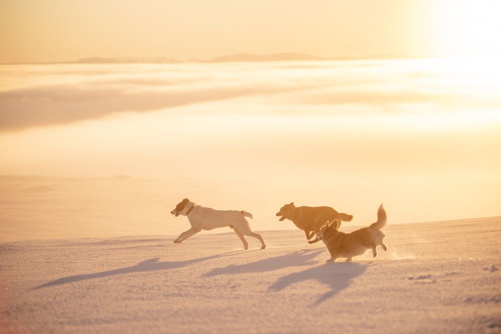 Photograph by Маргарита Богуславская