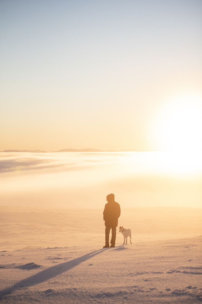 Photograph by Маргарита Богуславская