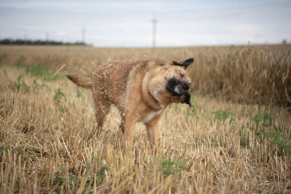 Photograph by Маргарита Богуславская