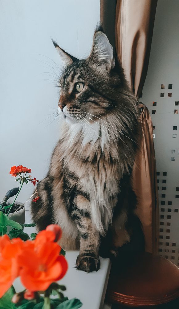 Photograph by Елена Твардовськая