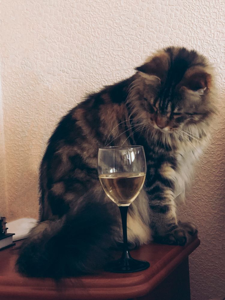 Photograph by Елена Твардовськая