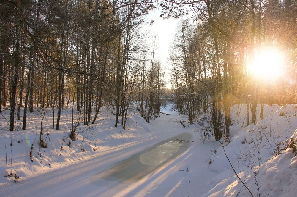 Photograph by Игорь Тихонов