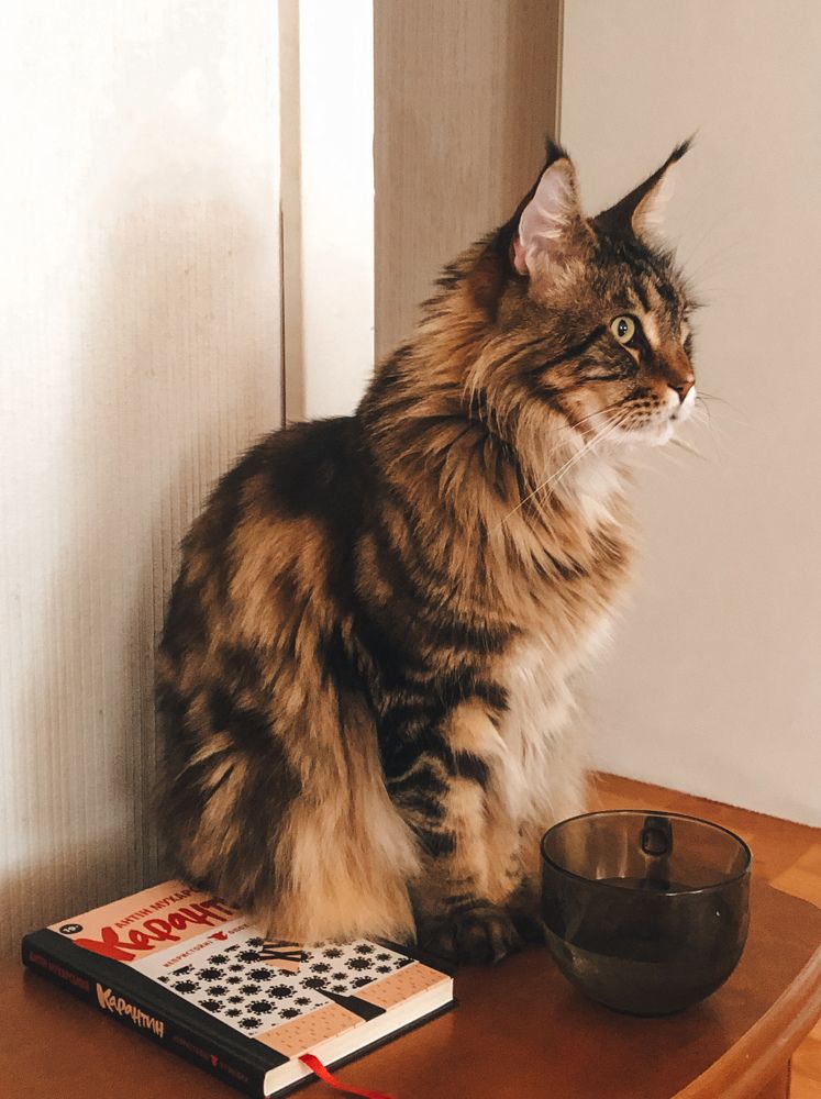 Photograph by Елена Твардовськая