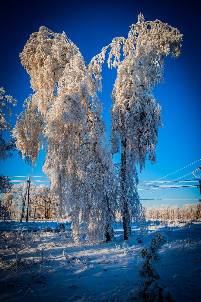 Photograph by Limon_vd