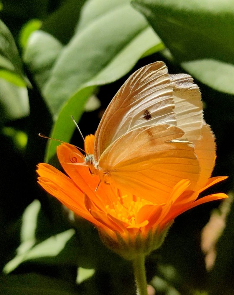 Photograph by Hajar Amir hajiloo