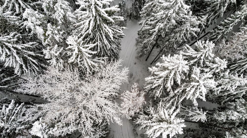 Photograph by Елена Иванова