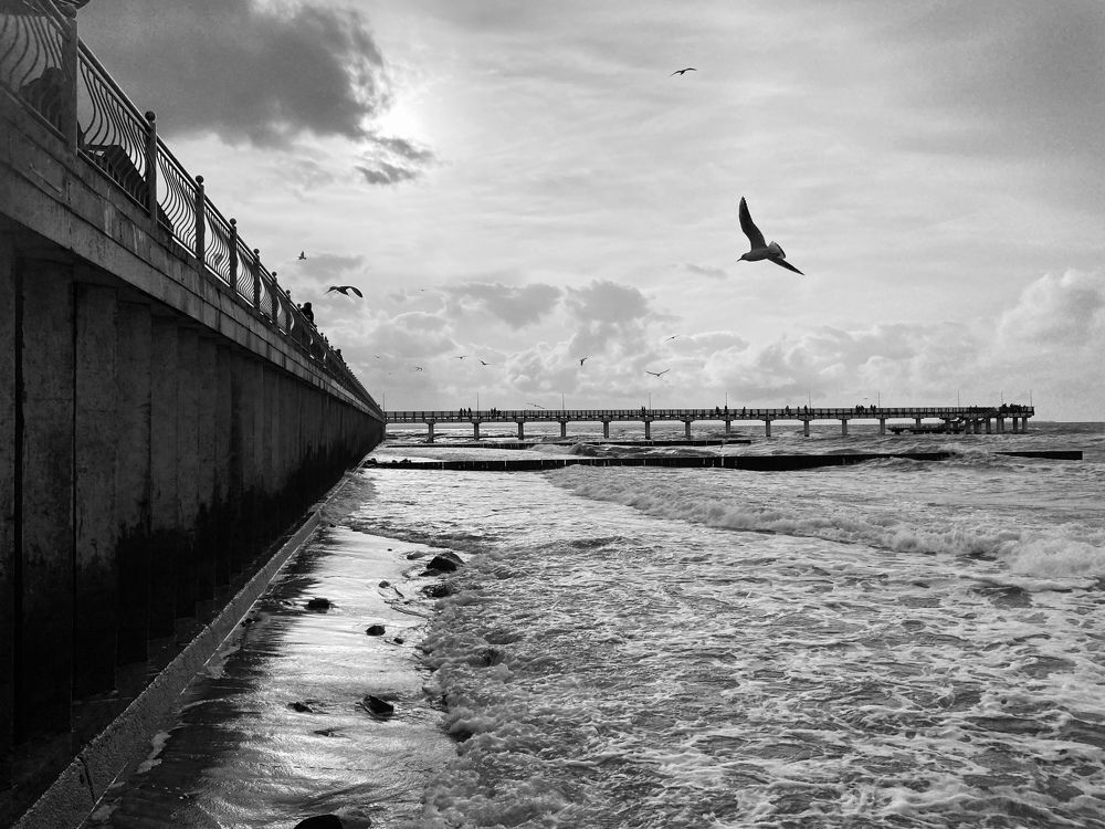 Photograph by Юлия Пыльцева