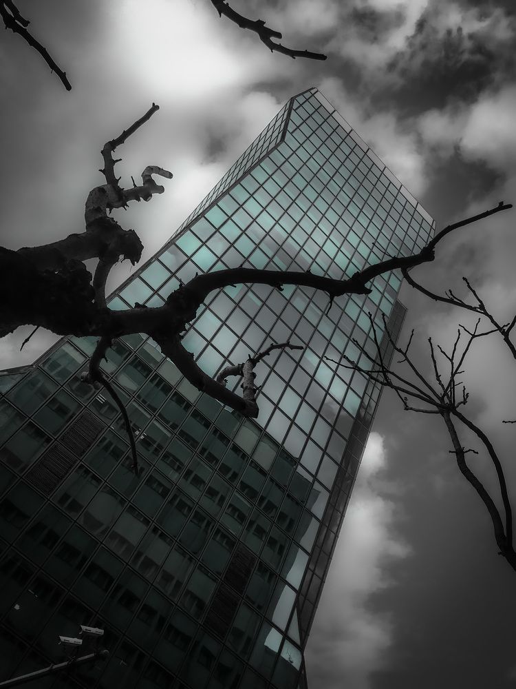 Photograph by Khashayar Yaghoubi