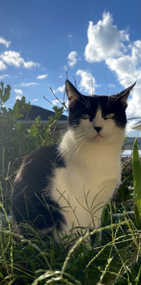 Photograph by Алиса Лукина