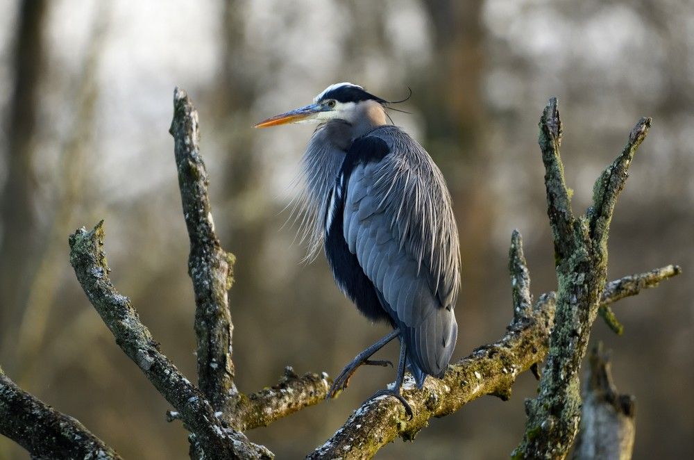 Photograph by Sean Farrell