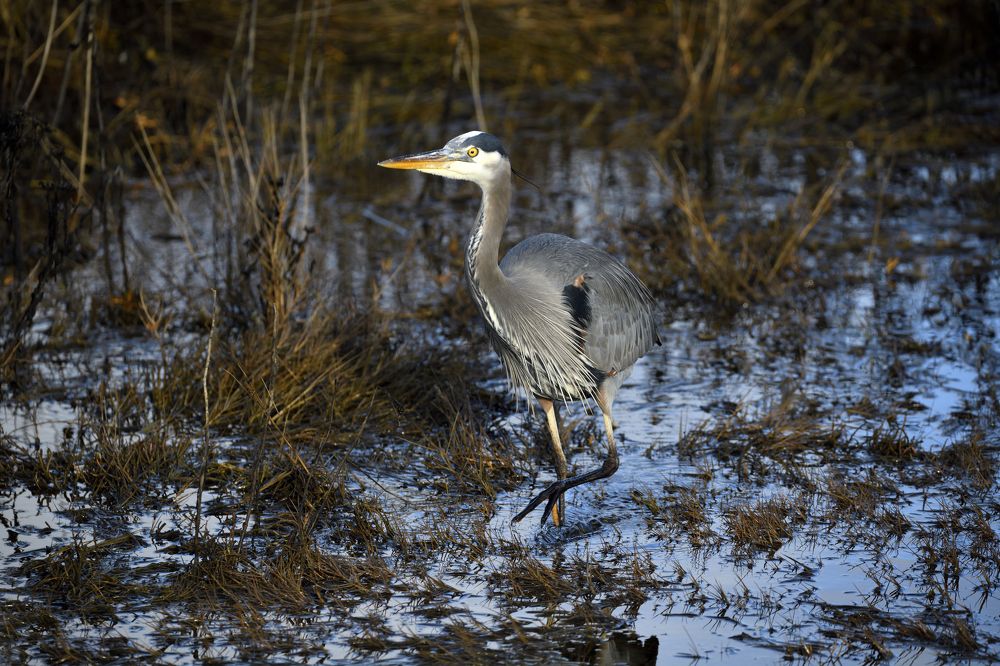 Photograph by Sean Farrell