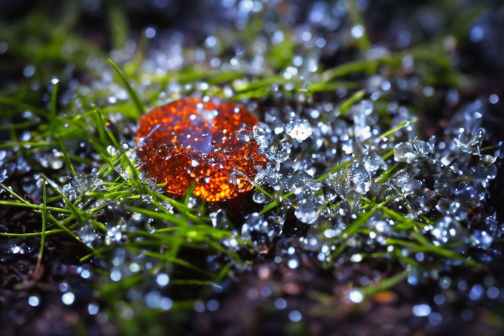 Photograph by Yiu Dmitriy