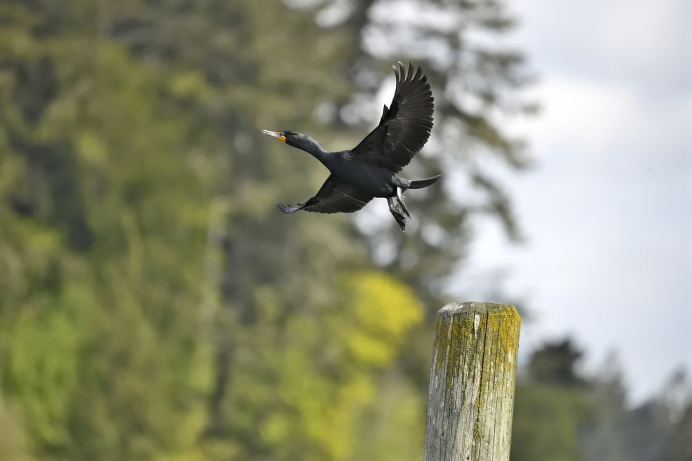 Photograph by Sean Farrell