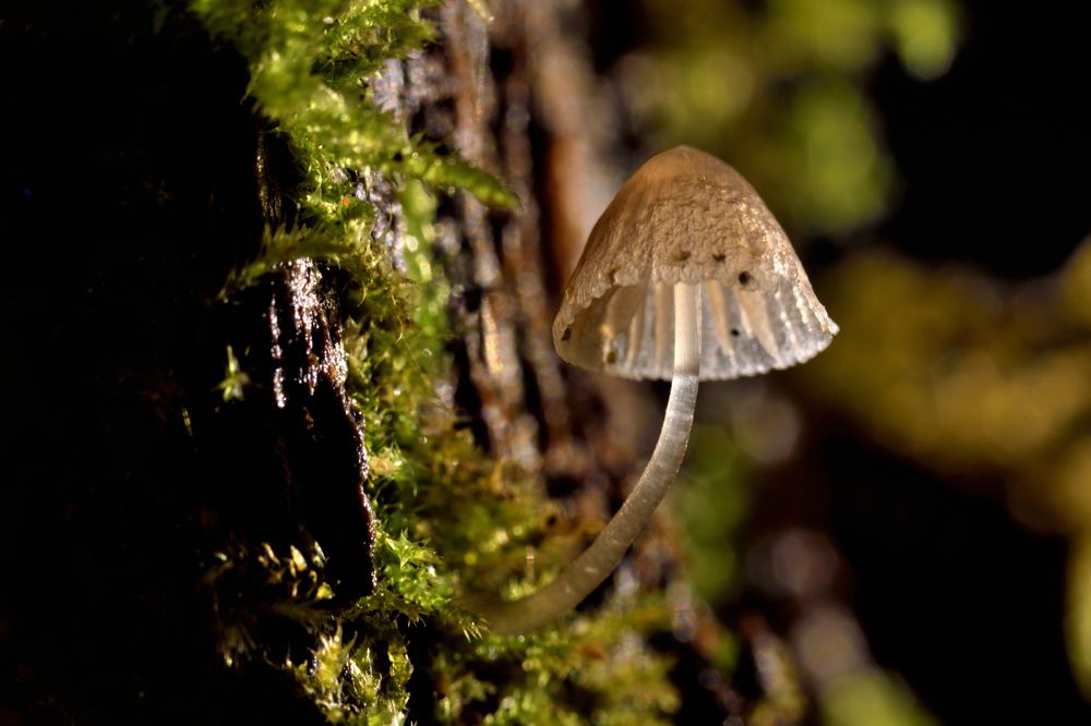 Photograph by Sean Farrell