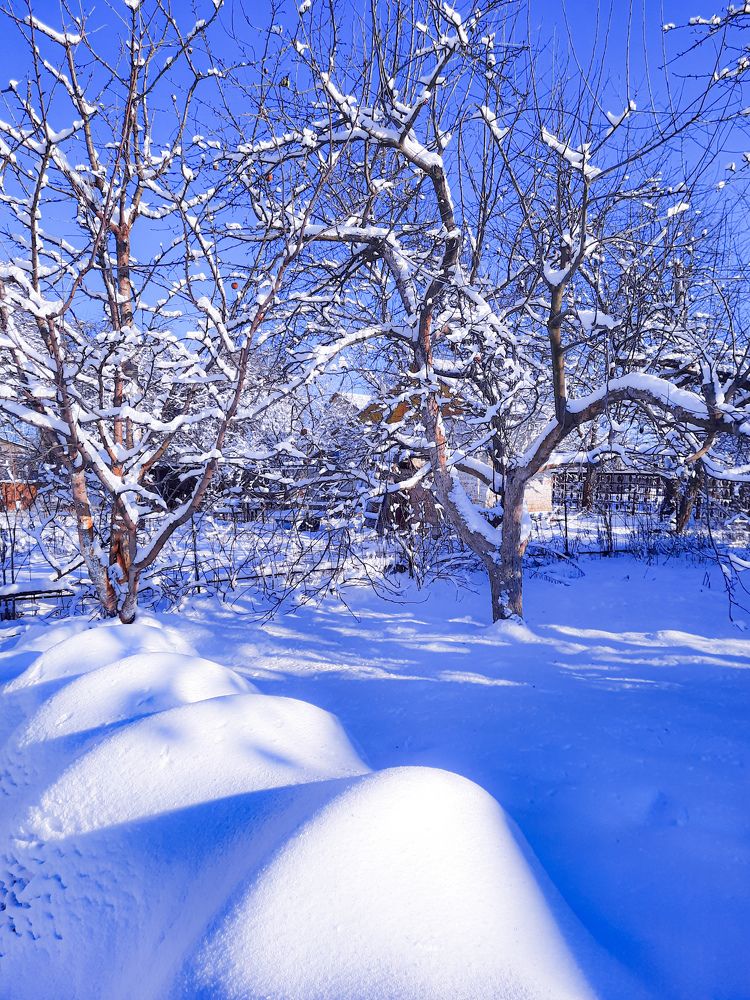 Фотография автора Irina Vornacheva