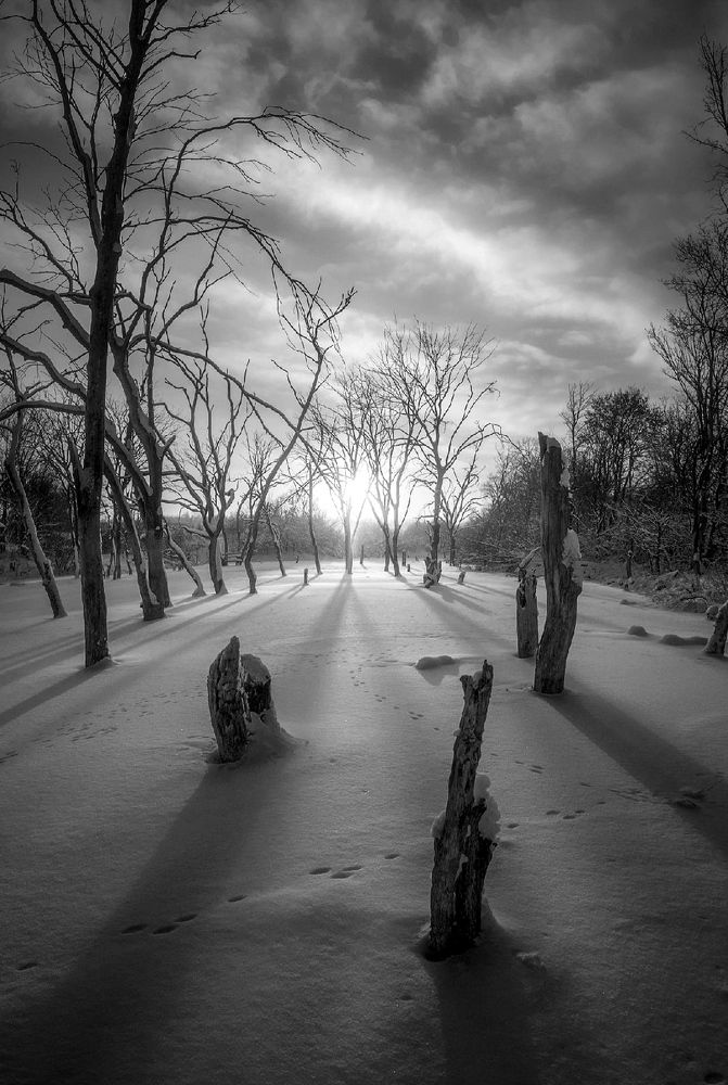 Photograph by Андрей Фадеев