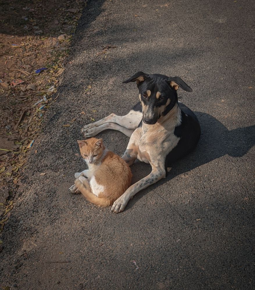 Photograph by Vijayakumar