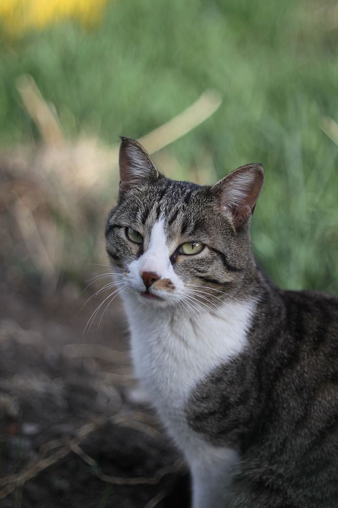 Photograph by Aleksey Maevskiy