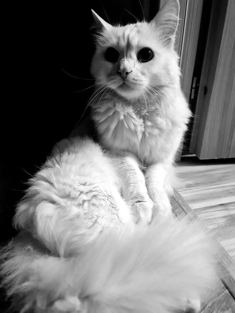 Photograph by Алексей Миронов