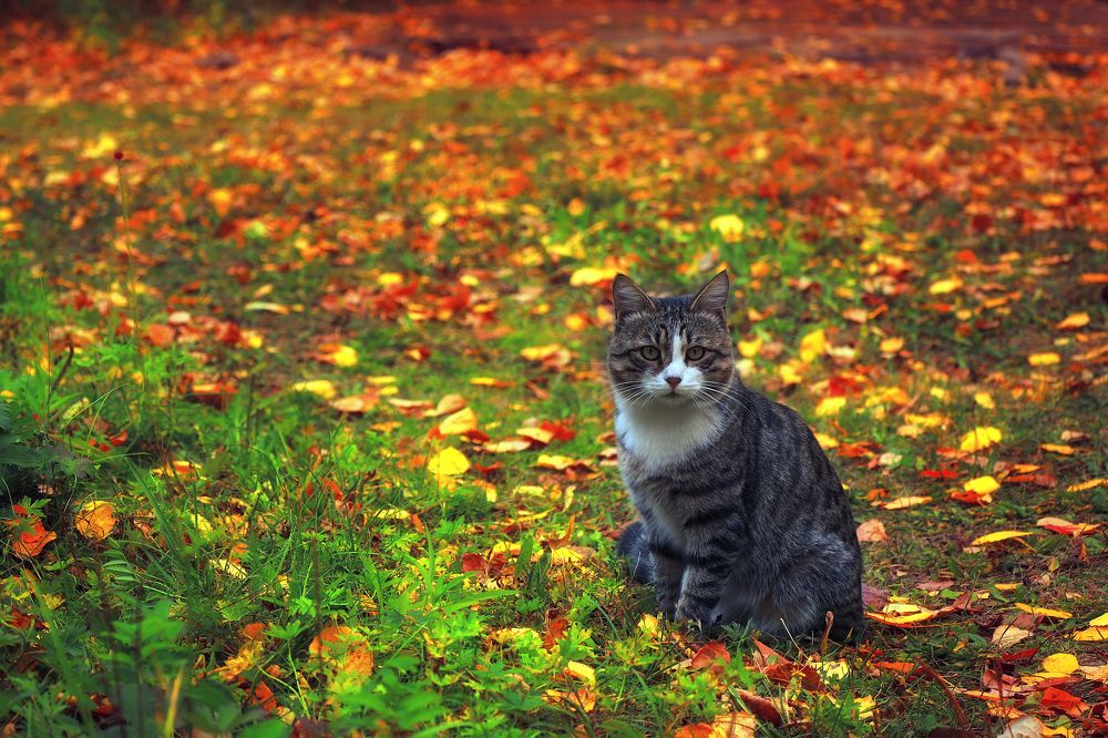 Photograph by Aleksey Maevskiy