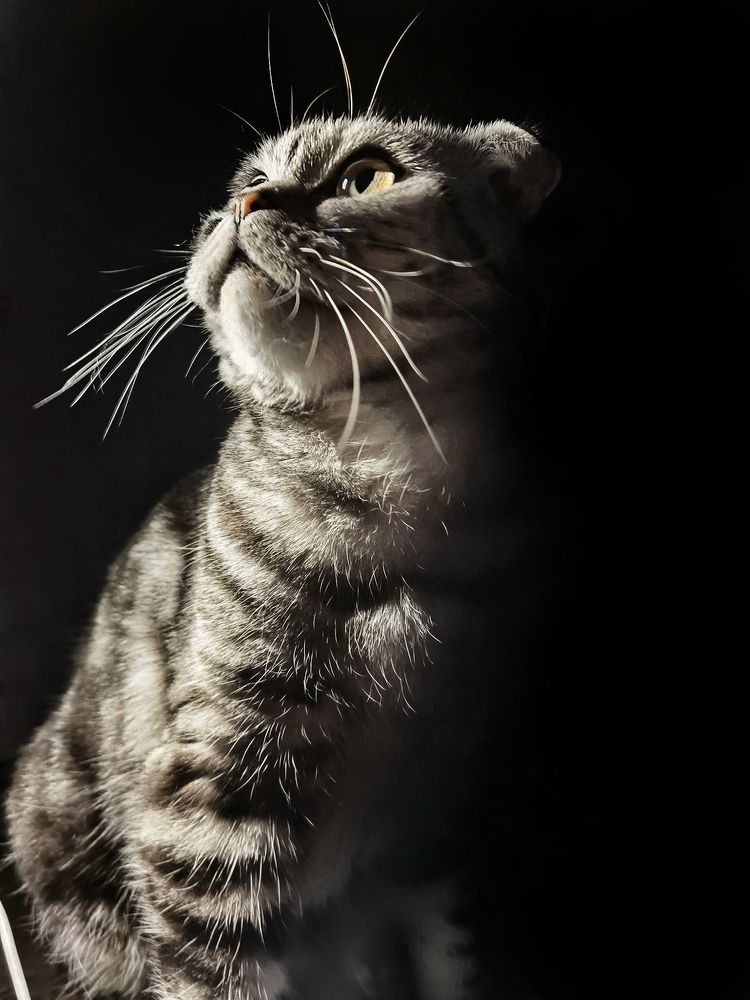 Photograph by Данил Макаренко