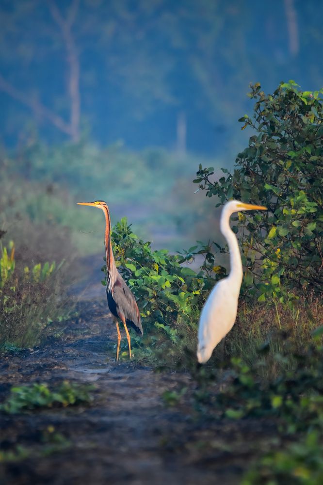 Photograph by Muhammed Zidan Photography