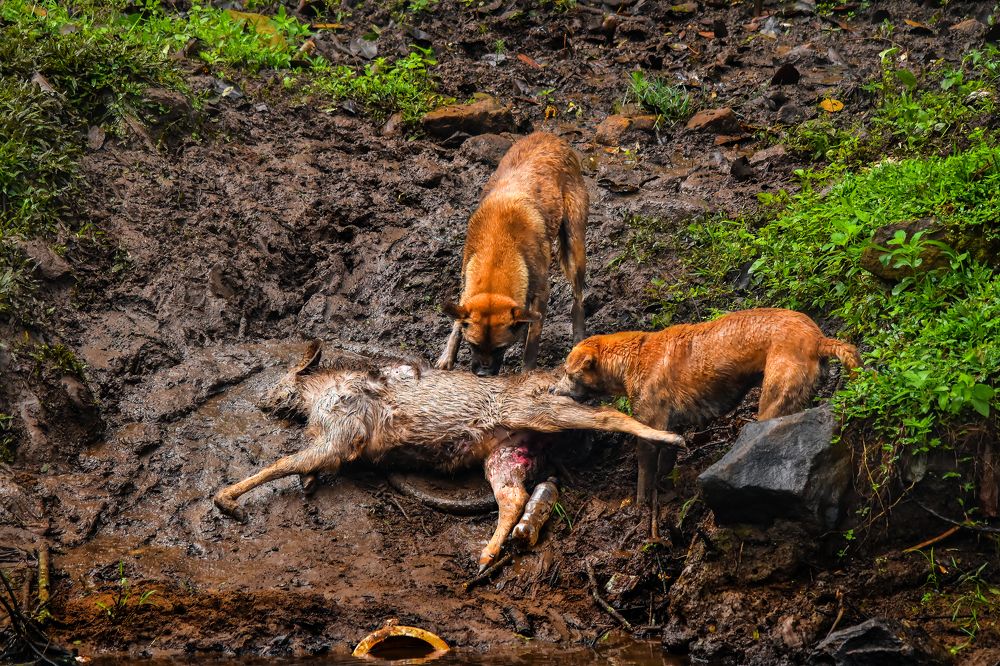 Photograph by Muhammed Zidan Photography