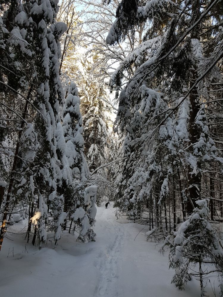Photograph by Наталья Королева