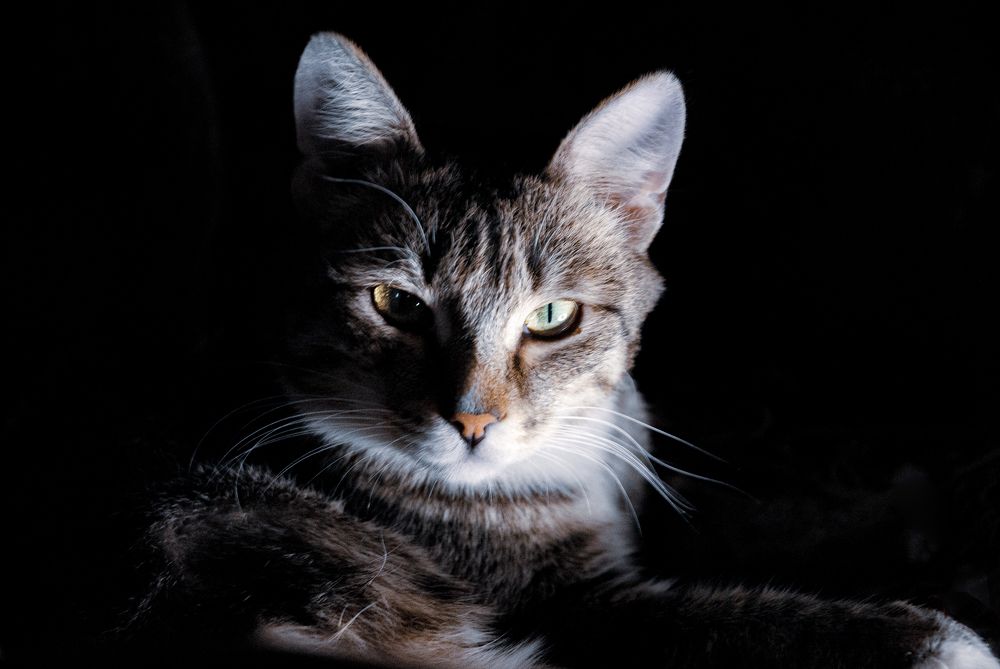 Photograph by Кирилл Богомазов