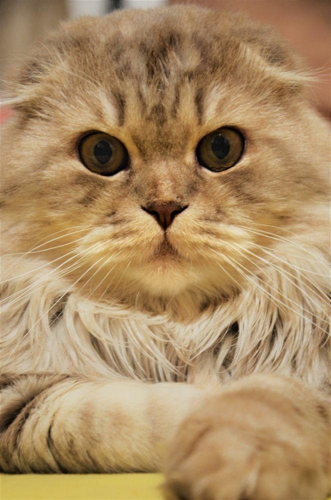 Photograph by Наталья Иванова