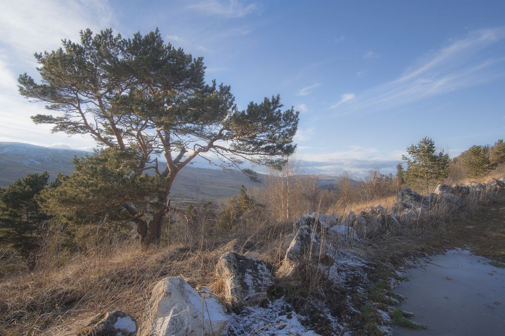 Фотография автора Вадим Коваленко