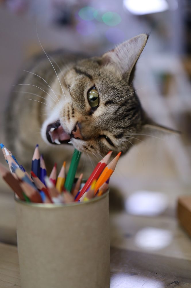 Photograph by Наталья Адалинская