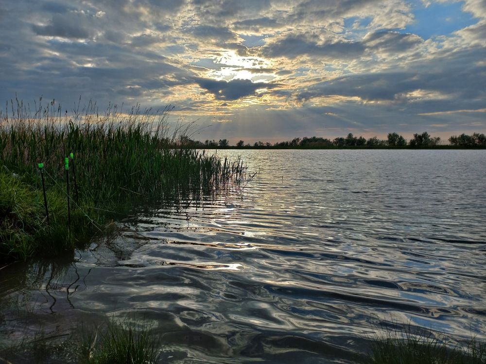 Photograph by Виктория