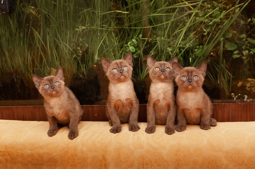 Photograph by Ляйсан Рамазанова