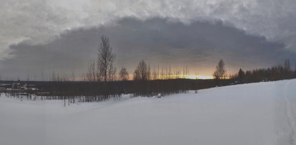 Photograph by Max_niksh