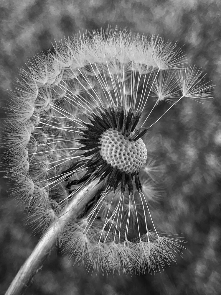 Photograph by Наталья Перерва