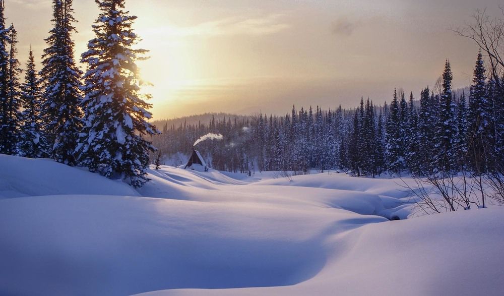 Фотография автора Татьяна Добровольская