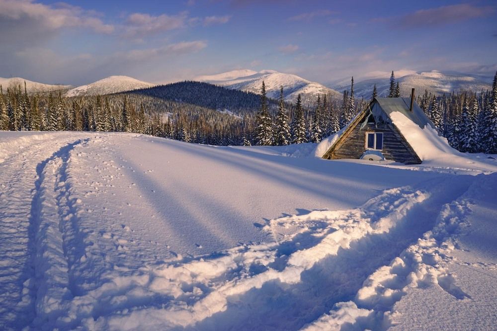 Фотография автора Татьяна Добровольская