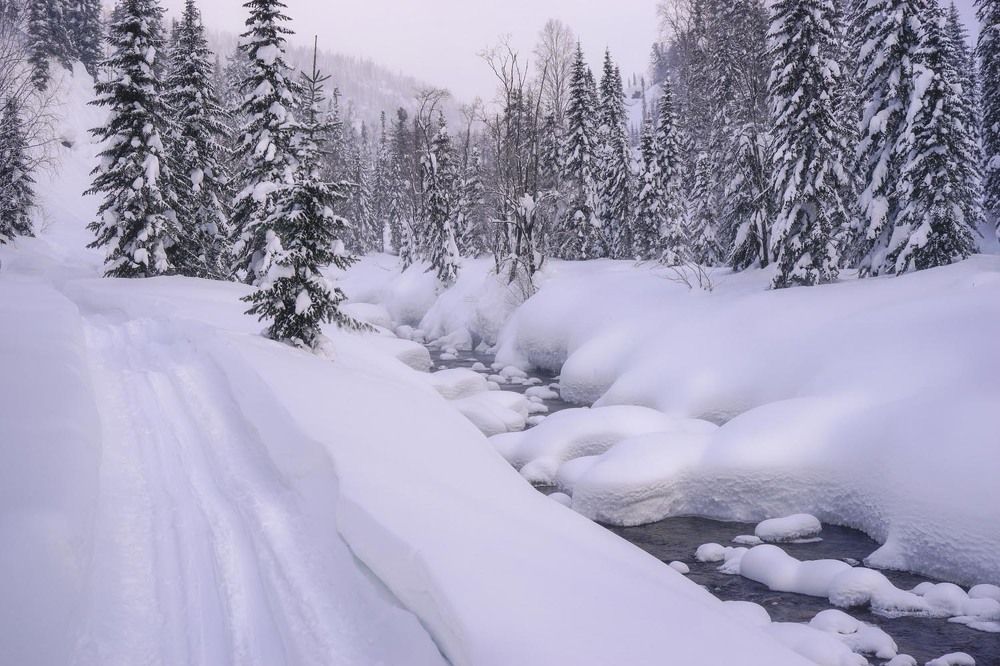 Фотография автора Татьяна Добровольская