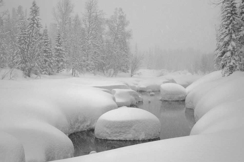 Photograph by Татьяна Добровольская