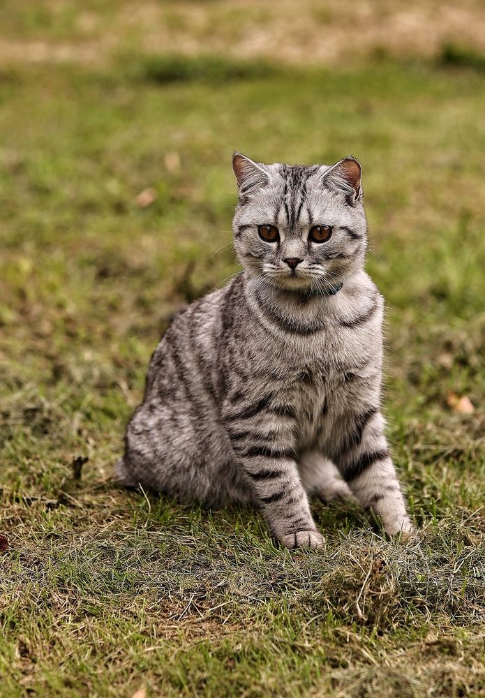 Photograph by Елена Одынец