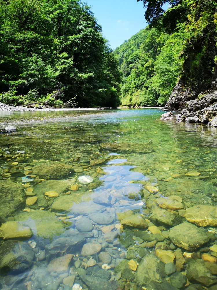 Photograph by Ольга Тихонова