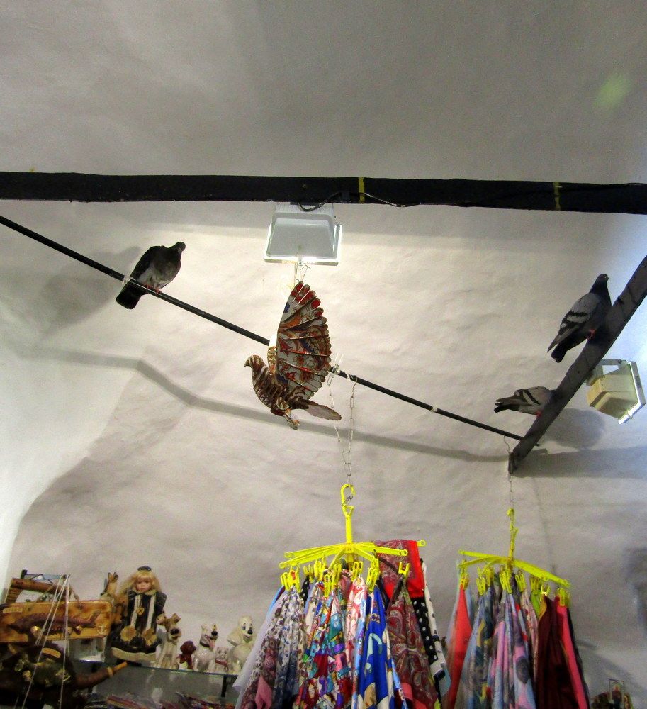 Photograph by Татьяна Смирнова