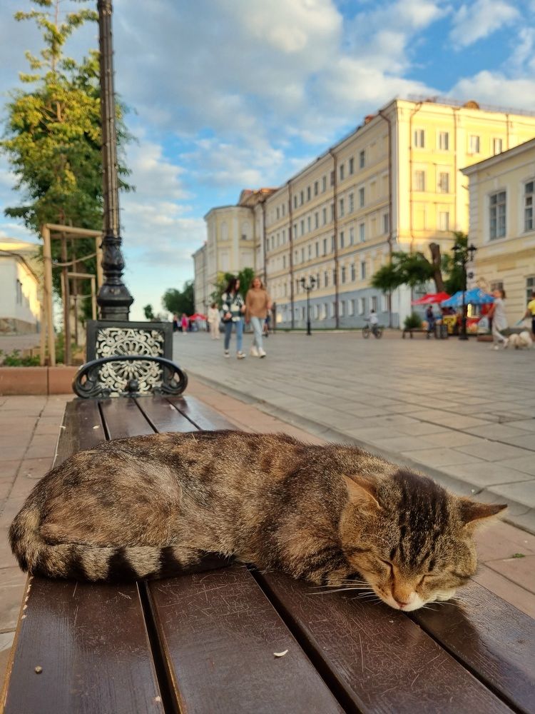 Photograph by Наталья Анисимова