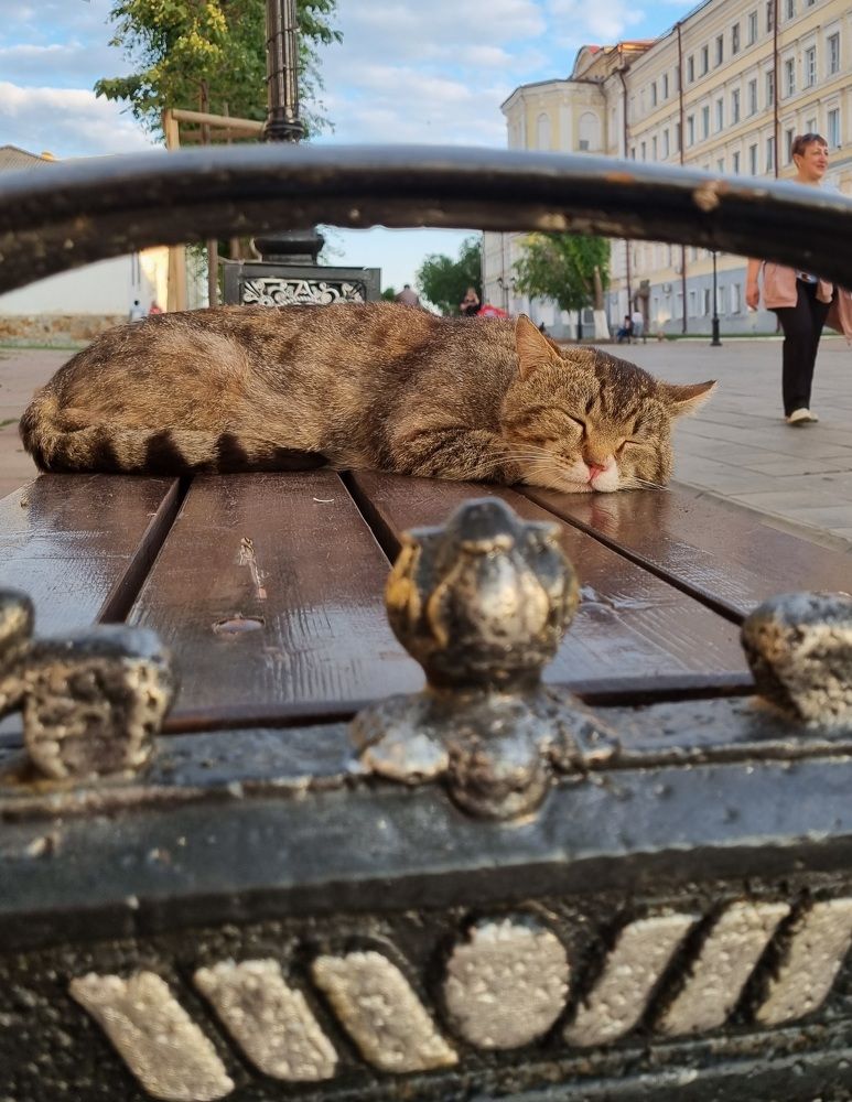 Photograph by Наталья Анисимова