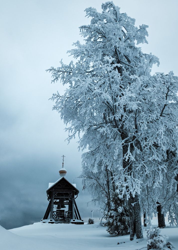 Photograph by Татьяна Шкарупа